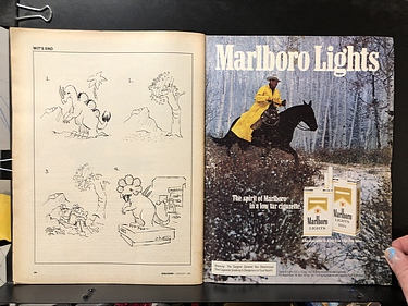 Discover Magazine - January, 1981