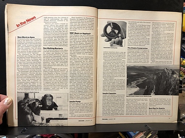Discover Magazine - January, 1981