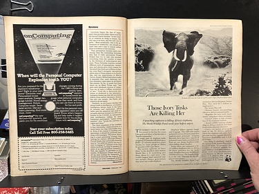 Discover Magazine - February, 1981
