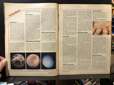 Discover Magazine - March, 1981