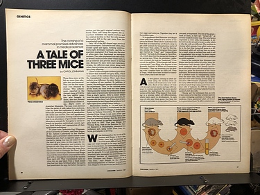 Discover Magazine - March, 1981