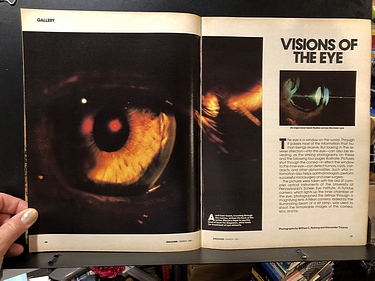 Discover Magazine - March, 1981