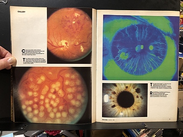 Discover Magazine - March, 1981