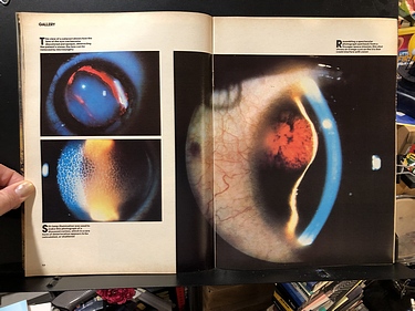 Discover Magazine - March, 1981