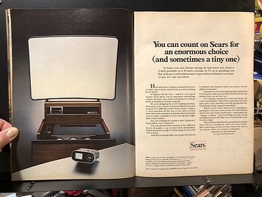 Discover Magazine - March, 1981
