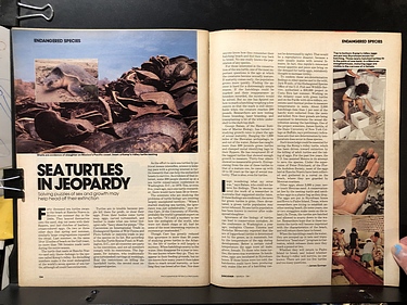 Discover Magazine - March, 1981