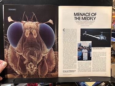 Discover Magazine - September, 1981
