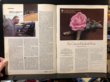 Discover Magazine - September, 1981