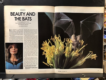 Discover Magazine - September, 1981