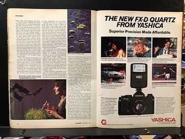 Discover Magazine - September, 1981