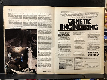 Discover Magazine - September, 1981