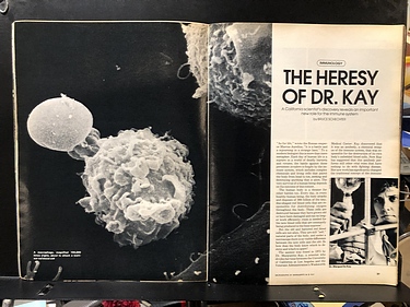 Discover Magazine - September, 1981