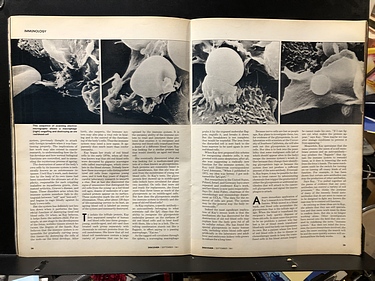 Discover Magazine - September, 1981