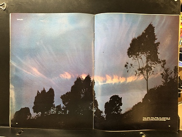 Discover Magazine - September, 1981