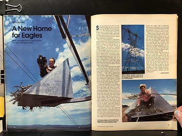 Discover Magazine - September, 1981