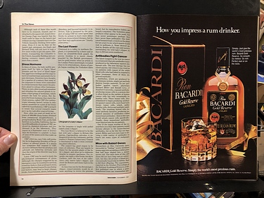 Discover Magazine - November, 1981