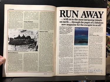 Discover Magazine - November, 1981