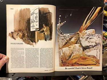 Discover Magazine - November, 1981