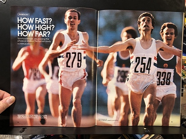 Discover Magazine - November, 1981