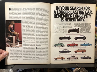 Discover Magazine - November, 1981