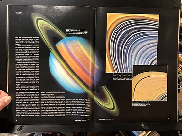 Discover Magazine - November, 1981
