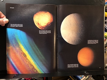 Discover Magazine - November, 1981