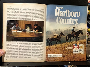 Discover Magazine - November, 1981