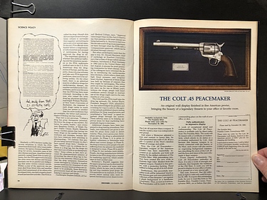 Discover Magazine - November, 1981