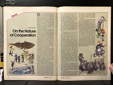 Discover Magazine - November, 1981