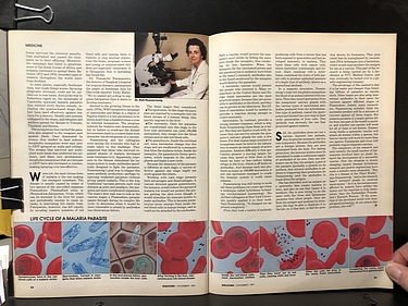 Discover Magazine - November, 1981