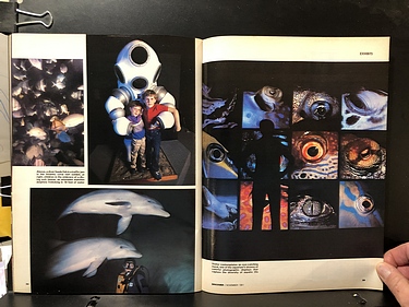 Discover Magazine - November, 1981