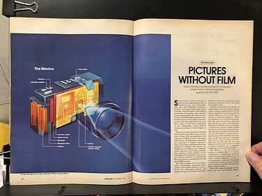 Discover Magazine - November, 1981