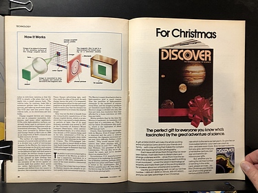 Discover Magazine - November, 1981
