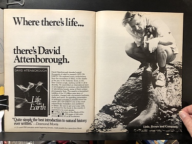 Discover Magazine - November, 1981