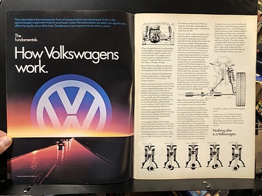 Discover Magazine - November, 1981