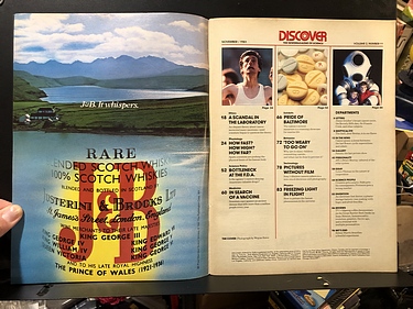 Discover Magazine - November, 1981