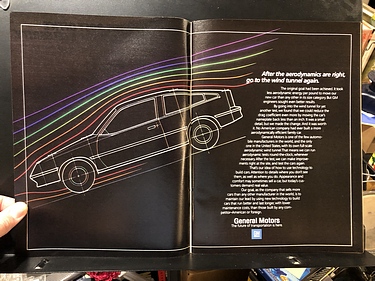 Discover Magazine - November, 1981