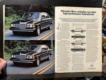 Discover Magazine - December, 1981