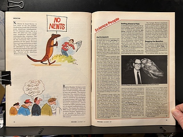 Discover Magazine - December, 1981