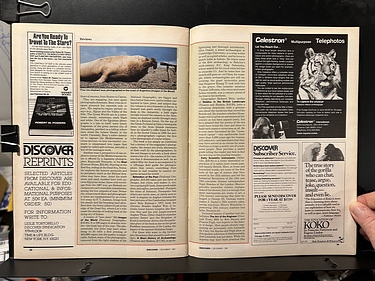 Discover Magazine - December, 1981
