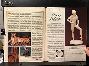 Discover Magazine - December, 1981
