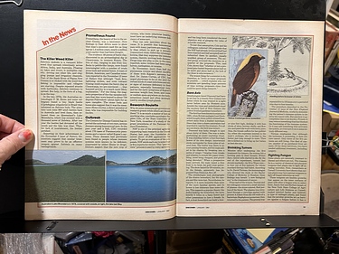 Discover Magazine - January, 1982