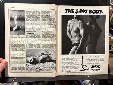 Discover Magazine - January, 1982