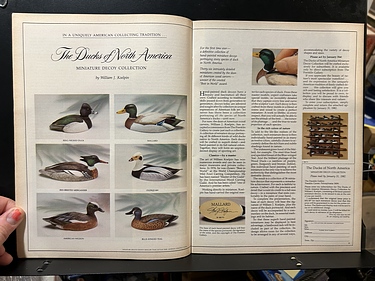 Discover Magazine - January, 1982