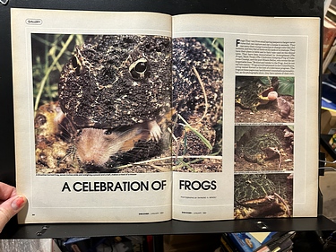 Discover Magazine - January, 1982