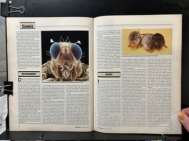 Discover Magazine - January, 1982