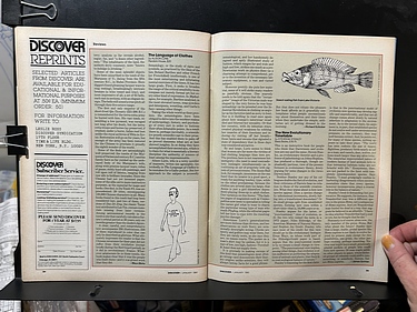 Discover Magazine - January, 1982