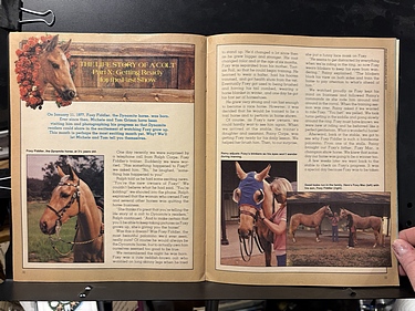 Star Wars: The Empire Strikes Back, January, 1984