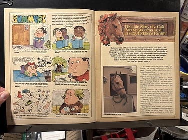 Meet Tom Wopat of The Dukes of Hazzard!, January, 1981