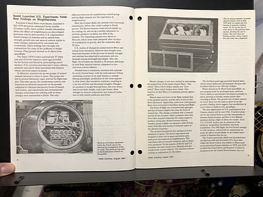 August, 1981